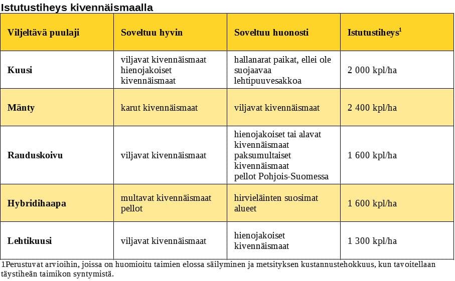 istutustiheyskivennäismaalla